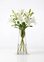 Serenity Cone Glass Vase — Hand-Blown Glass from Firozabad, India — Gifting Presentation