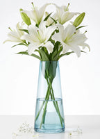 Serenity Cone Glass Vase — Hand-Blown Glass from Firozabad, India — Multi-Angle Showcase