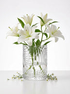 Tropical Fern Embossed Glass Vase — Hand-Blown Glass from Firozabad, India — Multi-Angle Showcase