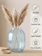 Bloom Rib Wide Glass Vase — Hand-Blown Glass from Firozabad, India — Top View