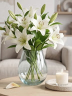 Luna Curve Smooth Glass Vase — Hand-Blown Glass from Firozabad, India — Lifestyle Setting