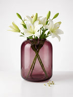 Botanist Wide Jar Glass Vase — Hand-Blown Glass from Firozabad, India — Light & Shadow