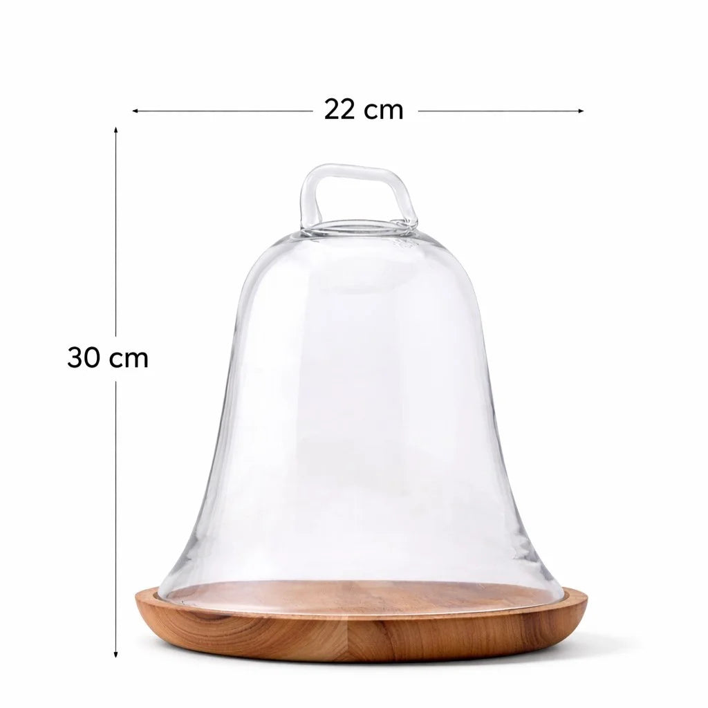Bell Jar Glass Dome — Castle Crafts