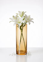 Studio Column Smooth Glass Vase — Hand-Blown Glass from Firozabad, India — Gifting Presentation