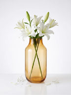 Apothecary Wide Shoulder Glass Vase — Hand-Blown Glass from Firozabad, India — Styled for Home Décor