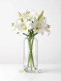 Capsule Glass Flower Vase – Clear (13.7")