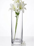 Dibba Glass Flower Vase – Clear (9.8")