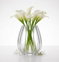 Fali Glass Flower Vase – Clear (9.8")