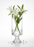 Pedestal Glass Flower Vase – Clear (8")