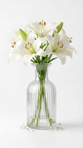 Salai Glass Flower Vase – Clear (5.5")
