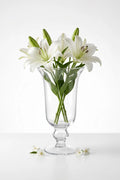 Samadhaan Glass Flower Vase – Clear (9")
